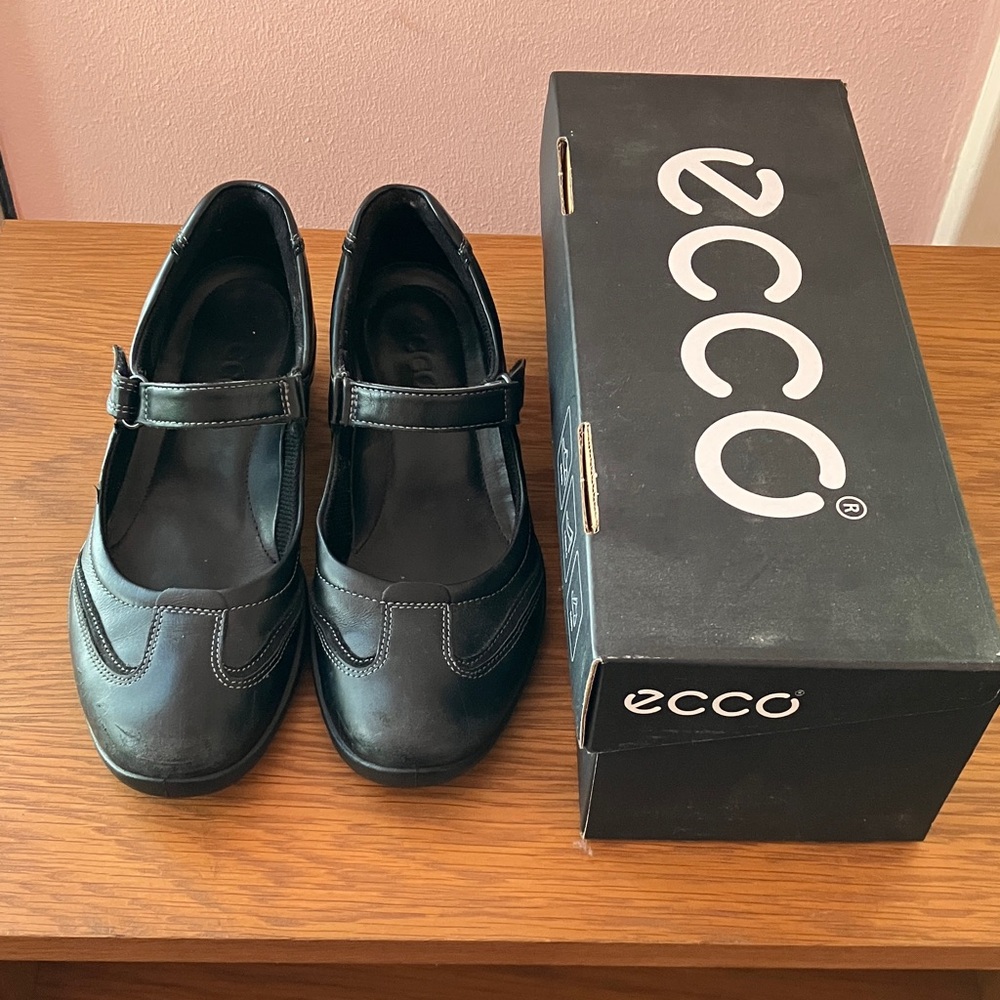Ecco Elegant Black Mary Jane Footwear